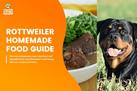 Best Rottweiler Homemade Dog Food Recipes: Adult & Puppy - Canine Bible