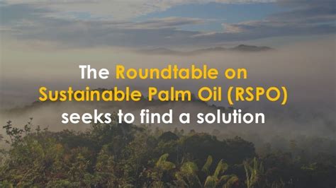 Palm Oil: Sustainability achieved through transparency