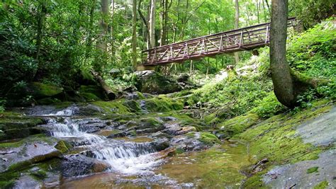 Demystifying the Cherokee National Forest: A beginner’s guide