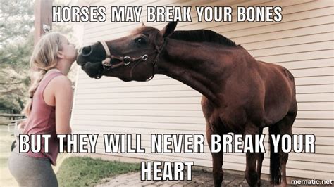 Funny Horse Pictures And Quotes - ShortQuotes.cc