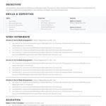 Resume Templates Editable (5) - PROFESSIONAL TEMPLATES | PROFESSIONAL TEMPLATES