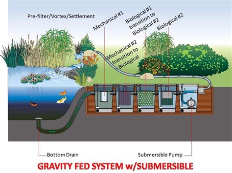 gravity filter | Fish ponds backyard, Koi pond design, Koi pond