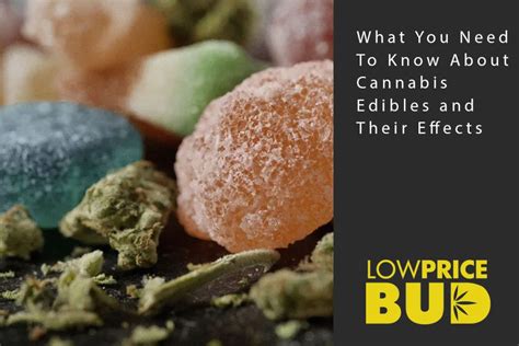 What You Need To Know About Cannabis Edibles and Their Effects - Low Price Bud