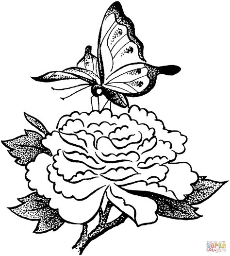 Butterfly On A Flower Coloring Online