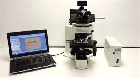 Olympus Fluorescence Microscope, For Laboratory at Rs 1494999/piece in Ambala