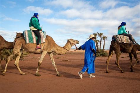 Marrakech Camel and Quad Biking Tour with Moroccan Lunch 2024