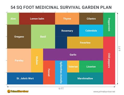 54 Square Foot Medicinal Garden Plan