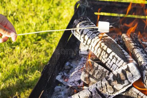 Marshmallow on a Stick Being Roasted Over a Camping Fire. Stock Photo ...