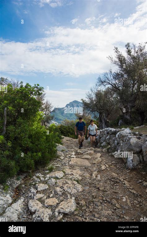 Hiking in the Tramuntana mountains in Mallorca is very popular and ...