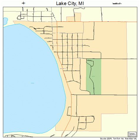 Lake City Michigan Street Map 2644480