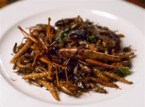 GIANT LOCUSTS being sold at a market in Saudi Arabia as Food | Page 6 ...