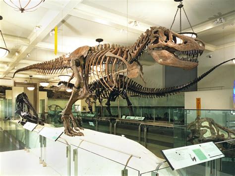 America's Best Dinosaur Exhibits : TravelChannel.com | Travel Channel