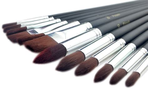 Paint Brushes - 12 Piece Artist Paint Brush Set for Oil Painting, Acrylic Art & Watercolor ...