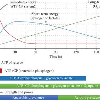 The energy systems that contribute to sport practice. The phosphagen... | Download Scientific ...