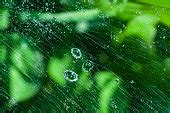 Free picture: details, moisture, raindrop, spider web, dew, trap, shining, design, blur, abstract