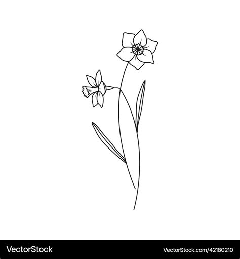 Narcissus Flower Small Tattoo | Best Flower Site