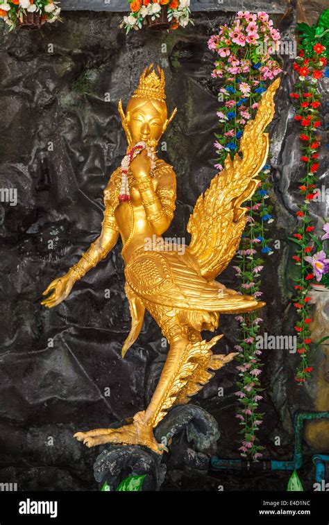 Golden kinnara half bird half woman figure hi-res stock photography and ...