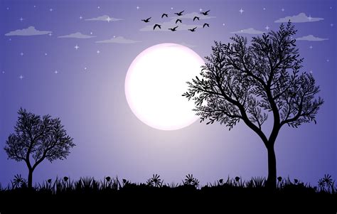 Beautiful Moonlight Scenery background free, Scenery vector illustration, Moonlight Scenery with ...