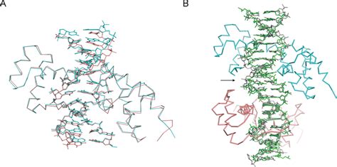 Structural analysis of DNA deformations (colors as in Figure 5). (A ...