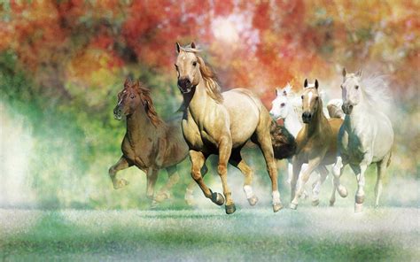 Galloping Horses For Desktop Wallpapers 2560x1600 : Wallpapers13.com