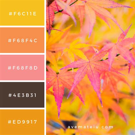 Maple leaf Color Palette #315 - Color combination, Color pallets, Color palettes, Color scheme ...