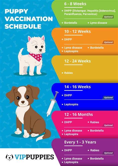 Printable Puppy Shot Schedule