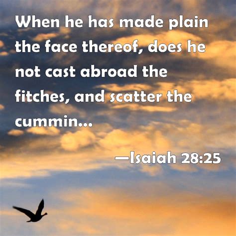 Isaiah 28:25 When he has made plain the face thereof, does he not cast ...