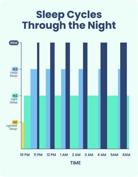 Stages of Sleep: What Happens in a Sleep Cycle | Sleep Foundation