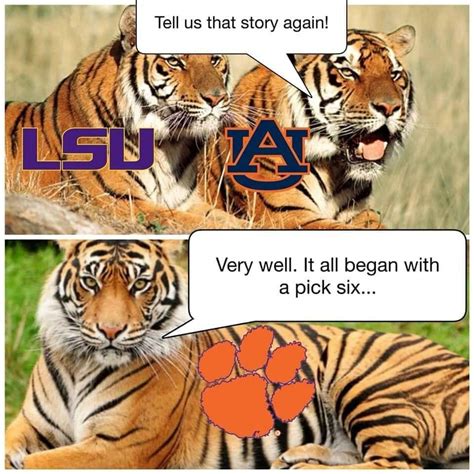 This Tiger Meme is relevant again now that all 3 of those tigers beat ...