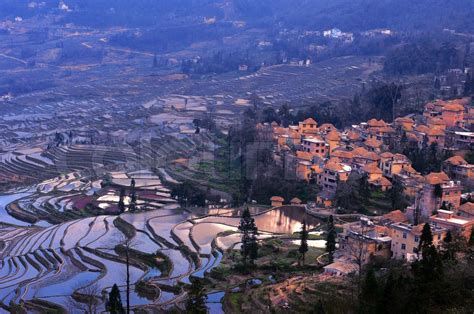 Terraced Fields | Stock image | Colourbox