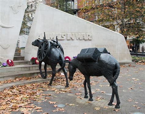 Animals in War Memorial - the places I have been