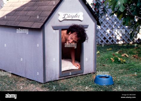 THE ANIMAL -2001 ROB SCHNEIDER Stock Photo - Alamy