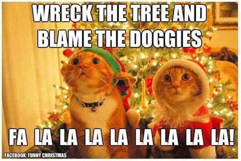 These Holiday Cat Memes Will Get You In The Christmas Spirit - Cole ...