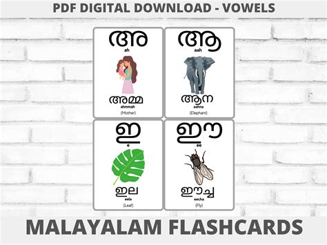 Buy Malayalam Vowels Swaraksharangal Flashcards Online in India - Etsy