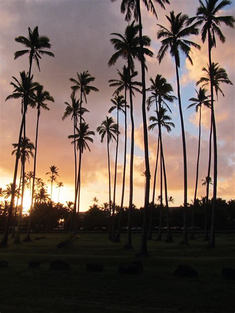 WHERE TO FIND THE BEST SPOTS TO WATCH THE SUNRISE ON KAUAI - The Travel Edit by Kelley Hernandez