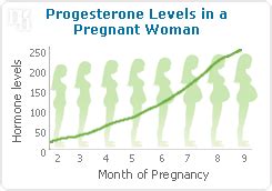 Pregnancy and Progesterone Levels | Natural-Hormones.net