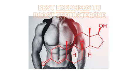 Best Exercise Routine To Boost Testosterone - Unbiased Living