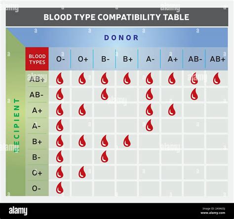 Blood Type Compatibility Table / Chart with Donor and Recipient Groups ...