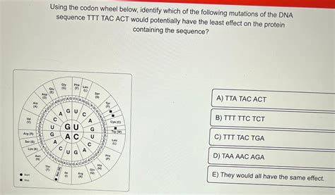 Solved Using the codon wheel below, identify which of the | Chegg.com