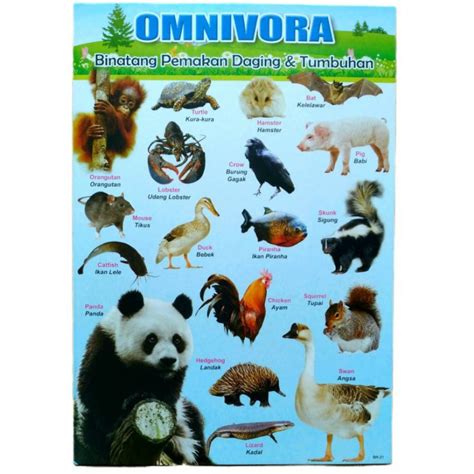 Jual Poster Hewan Omnivora | Shopee Indonesia