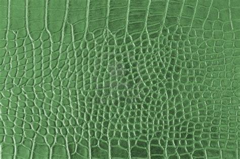 croc skin | Crocodile skin, Seamless textures, Alligator skin