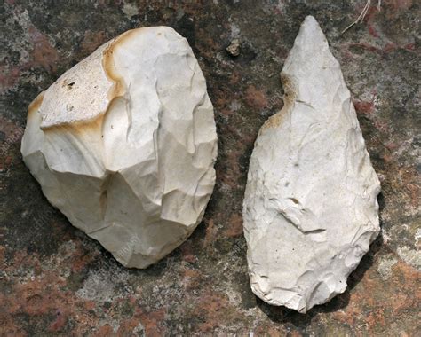 Stone-age flint hand axes - Stock Image - C015/0509 - Science Photo Library