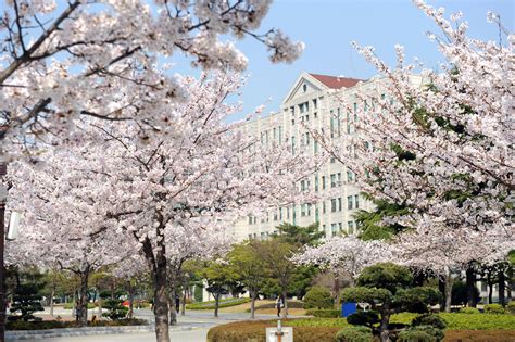 PuKyong National University | Busan