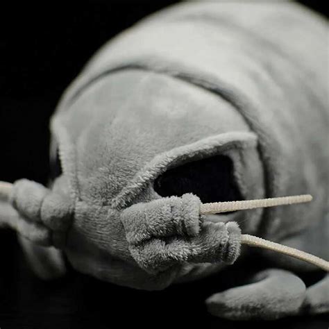 Giant Isopod Plush | Citrus Reef