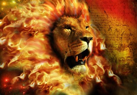 [100+] Fire Lion Wallpapers | Wallpapers.com