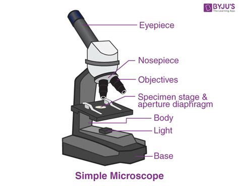 Types of Microscopes: Definition, Working Principle, Diagram, Applications, FAQs