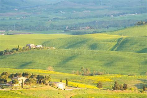 Val D`Orcia Landscape in Spring. Hills of Tuscany. Cypresses, Hills, Yellow Rapeseed Fields and ...