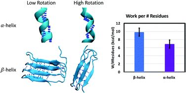 Mechanical unfolding of alpha- and beta-helical protein motifs - Soft ...