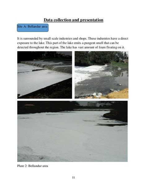 A STUDY ON THE IMPACT OF POLLUTION IN BELLANDUR LAKE DUE TO URBANIZAT…