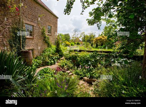 East Lambrook Manor Gardens, location of the famous Margery Fish ...